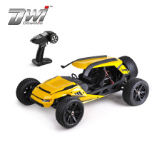 DWI 1:6 Scale High Power Motor 80km/h Electric Brushless RC Car